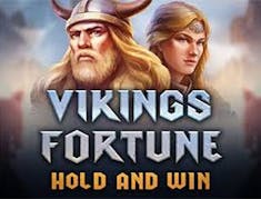 Vikings Fortune: Hold and Win logo