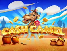 Cash Camel logo