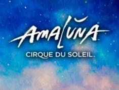 Cirque Du Soleil Amaluna logo