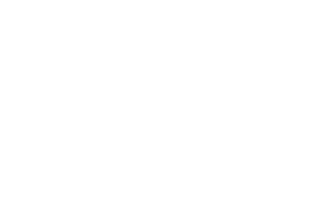 Consulabs logo