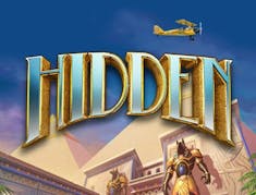 Hidden logo