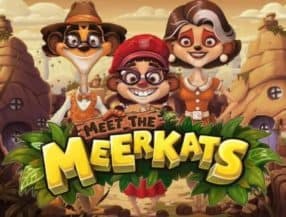 Meet the Meerkats