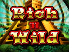 Rich n Wild logo