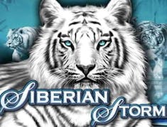 Siberian Storm logo