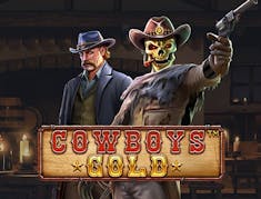 Cowboys Gold logo