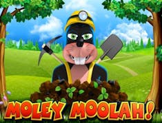 Moley Moolah logo