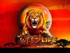 The Wild Life logo