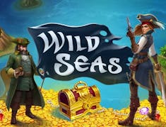 Wild Seas logo