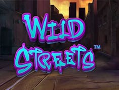 Wild Streets logo