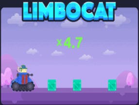 limbo cat