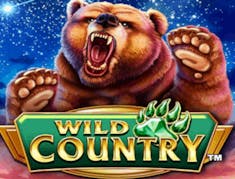 Wild Country logo