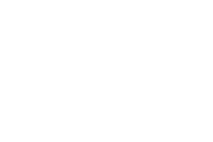 ZeusPlay logo