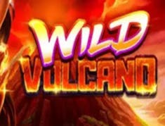 Wild Volcano logo