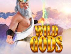 Wild Gods logo