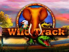 Full Moon Wild Track logo