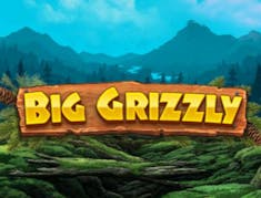 Big Grizzly logo