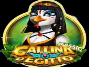 Gallina D'Egitto Classic