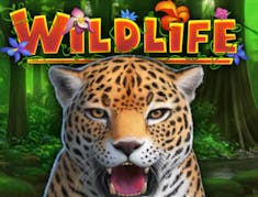 WildLife logo