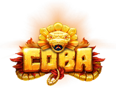 Coba logo