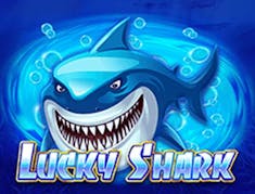 Lucky Shark logo