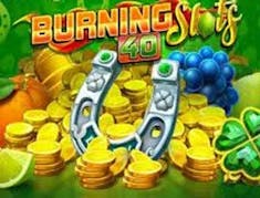 Burning Slots 40 logo