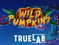 Wild Pumpkins logo