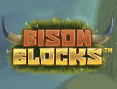 Bison Blocks logo