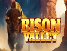 Bison Valley logo