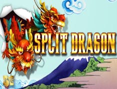 Split Dragon logo