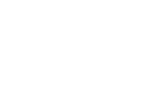 Red Tiger logo