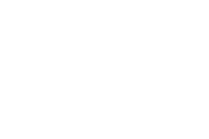 Amusnet Interactive logo