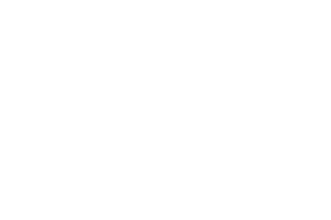 StakeLogic logo